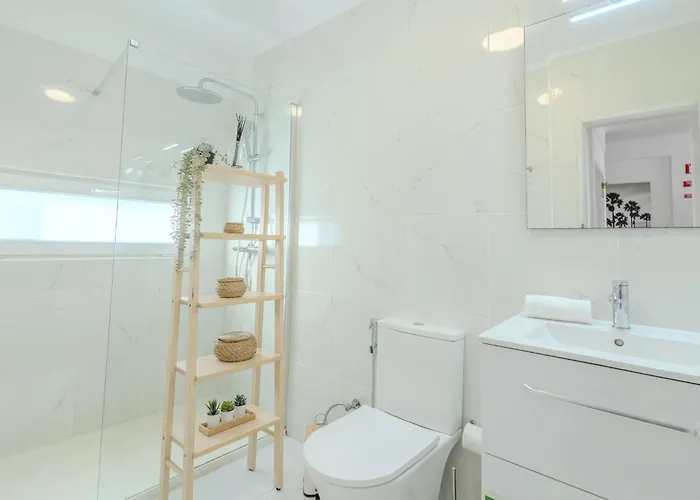 #347 Dream By Holidays *